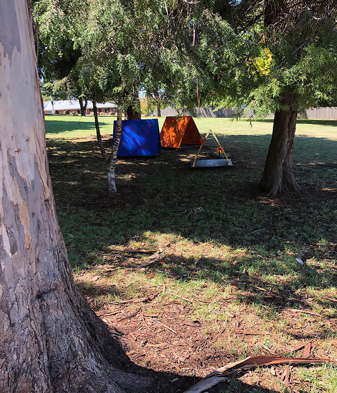 buildmedeloraine-trees-gigapixel-standard-scale-481x.jpg