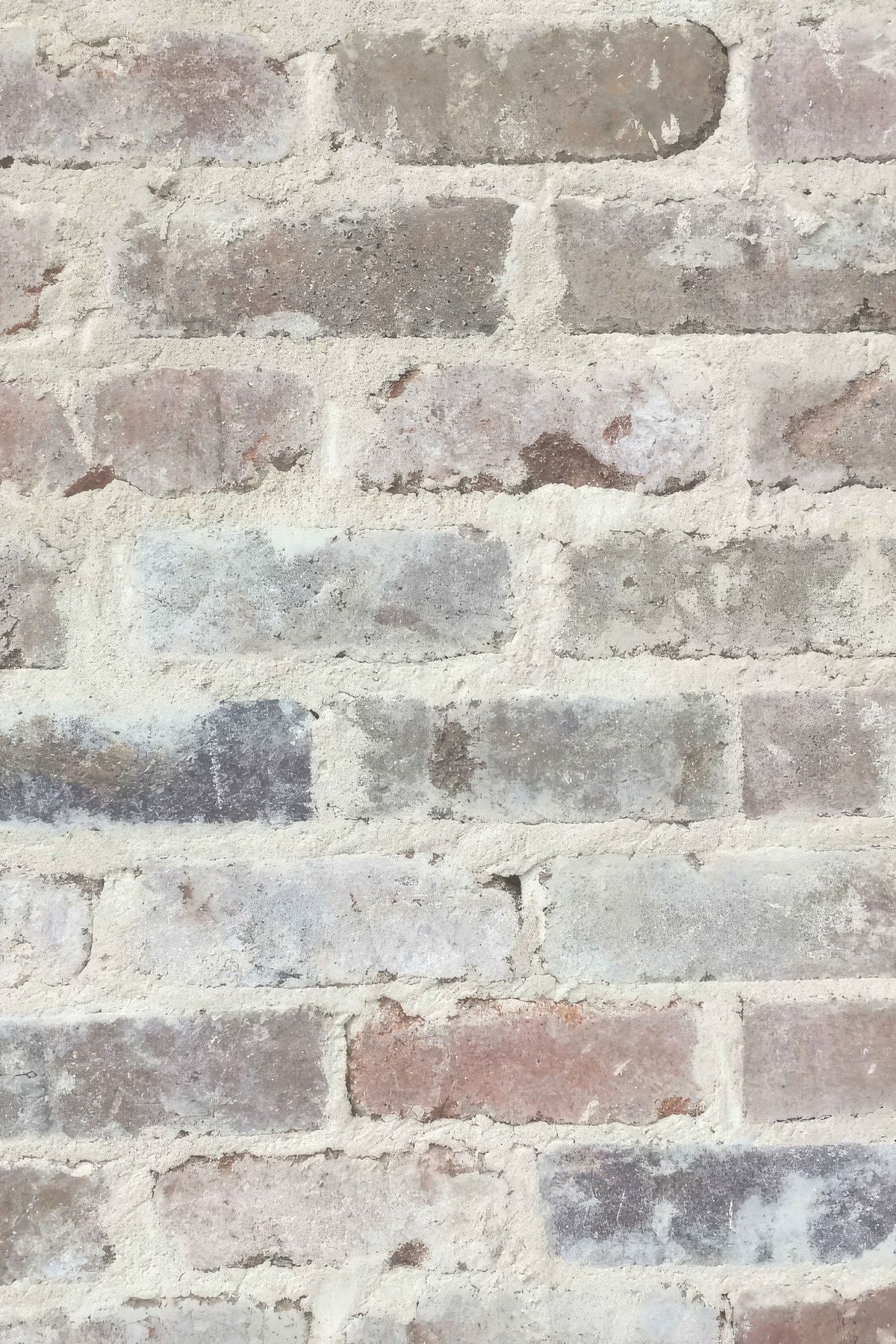 Photography Credit: The Brick Pit
