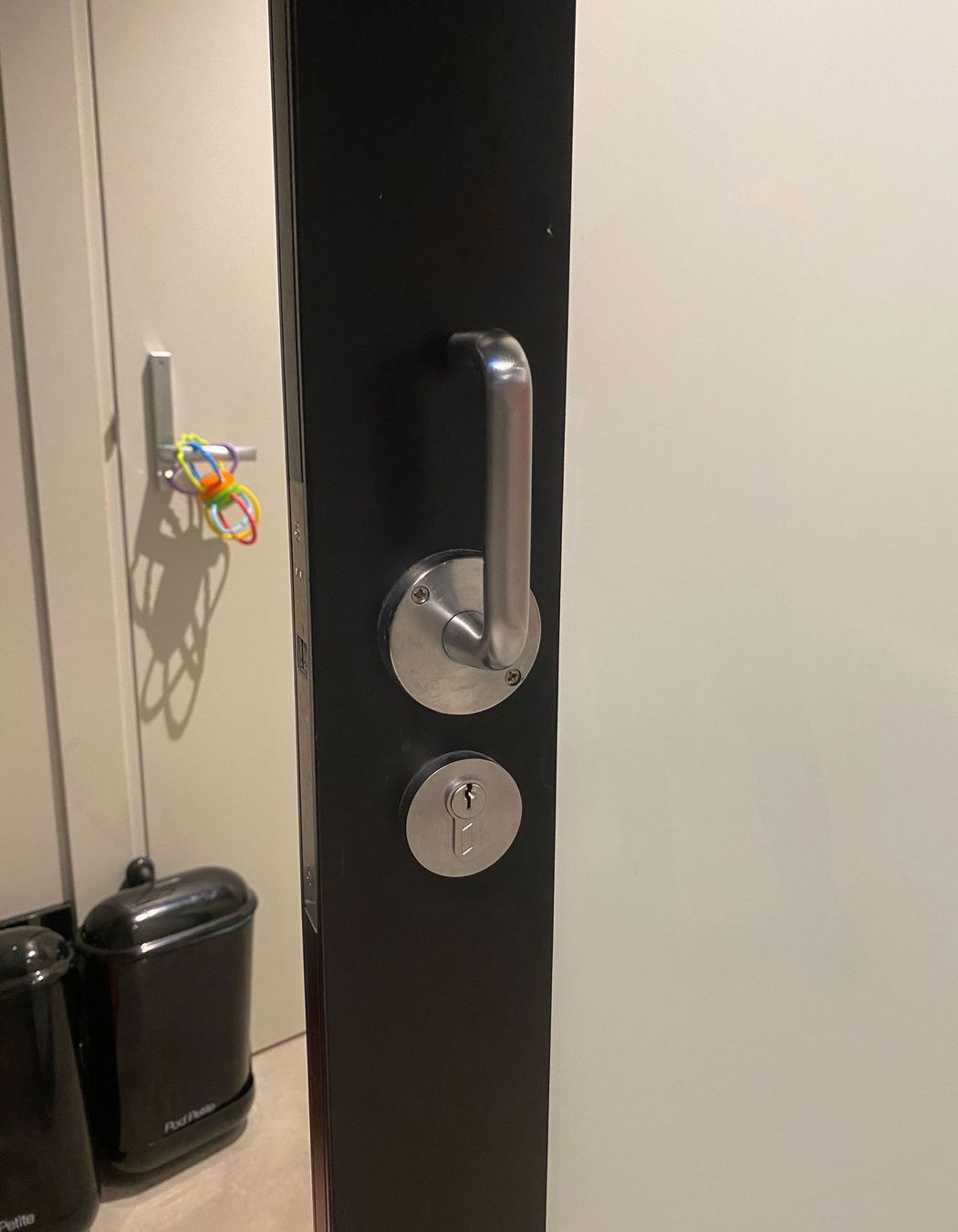 CL100 Lever handle on NewYorker door