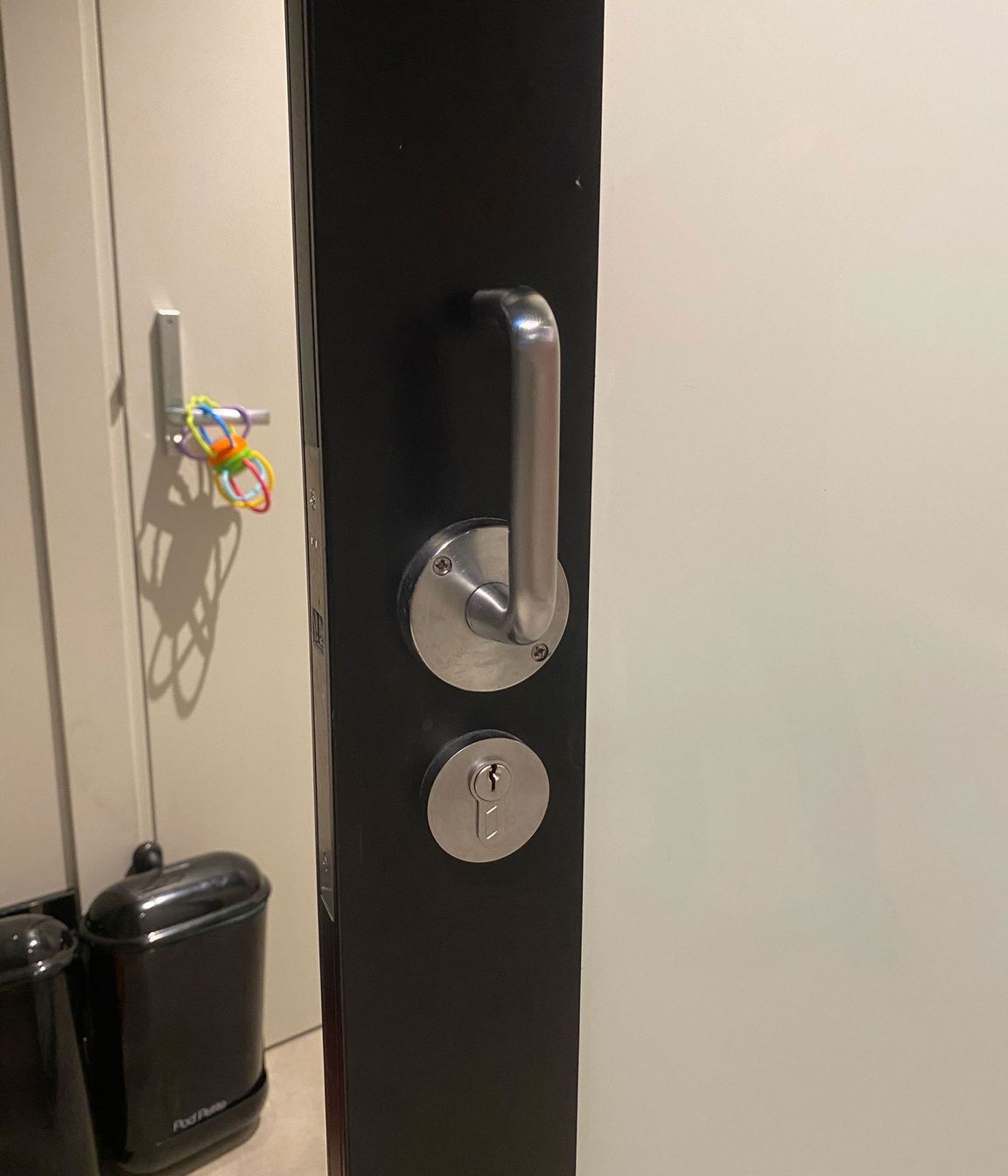 CL100 Lever handle on NewYorker door