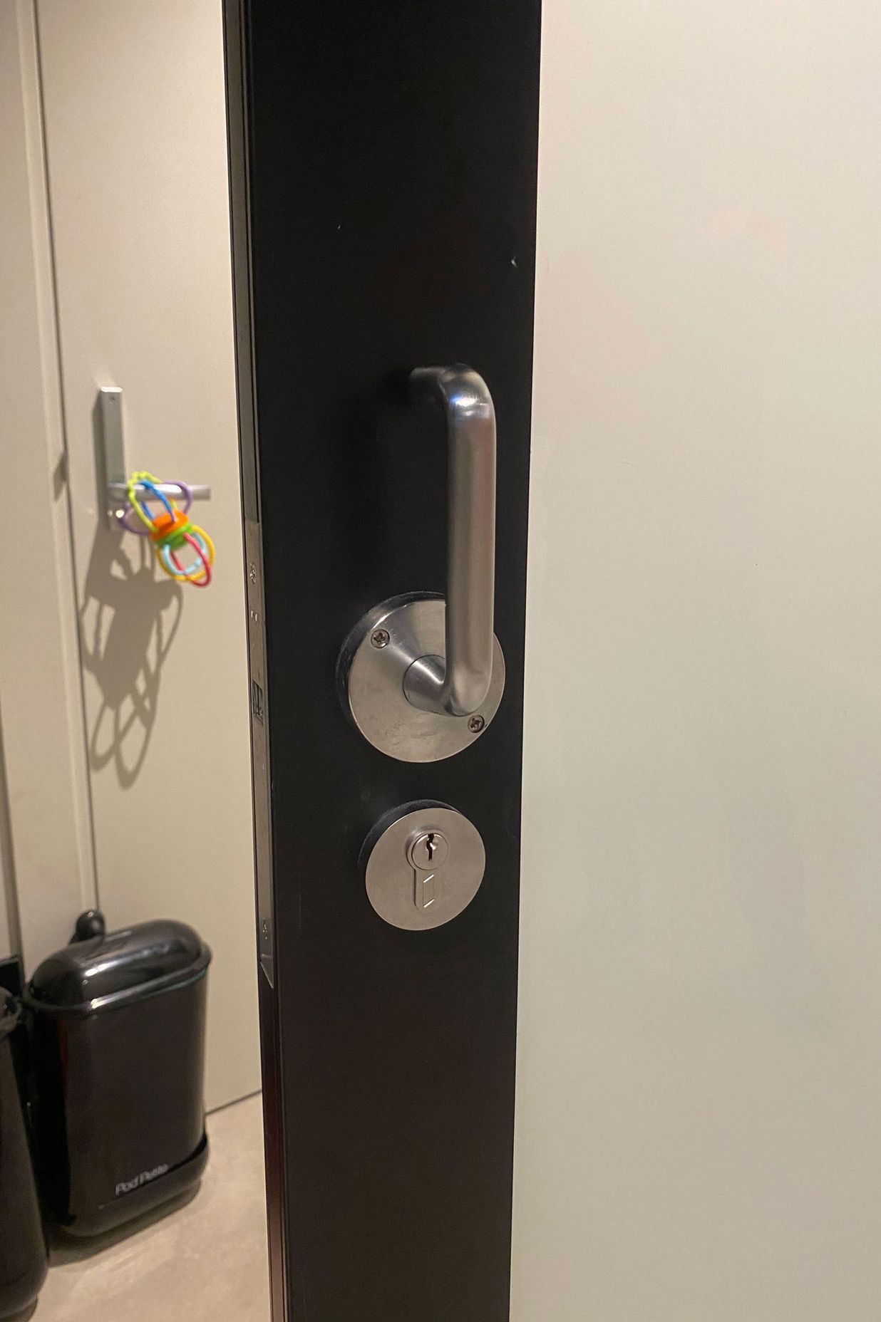 CL100 Lever handle on NewYorker door
