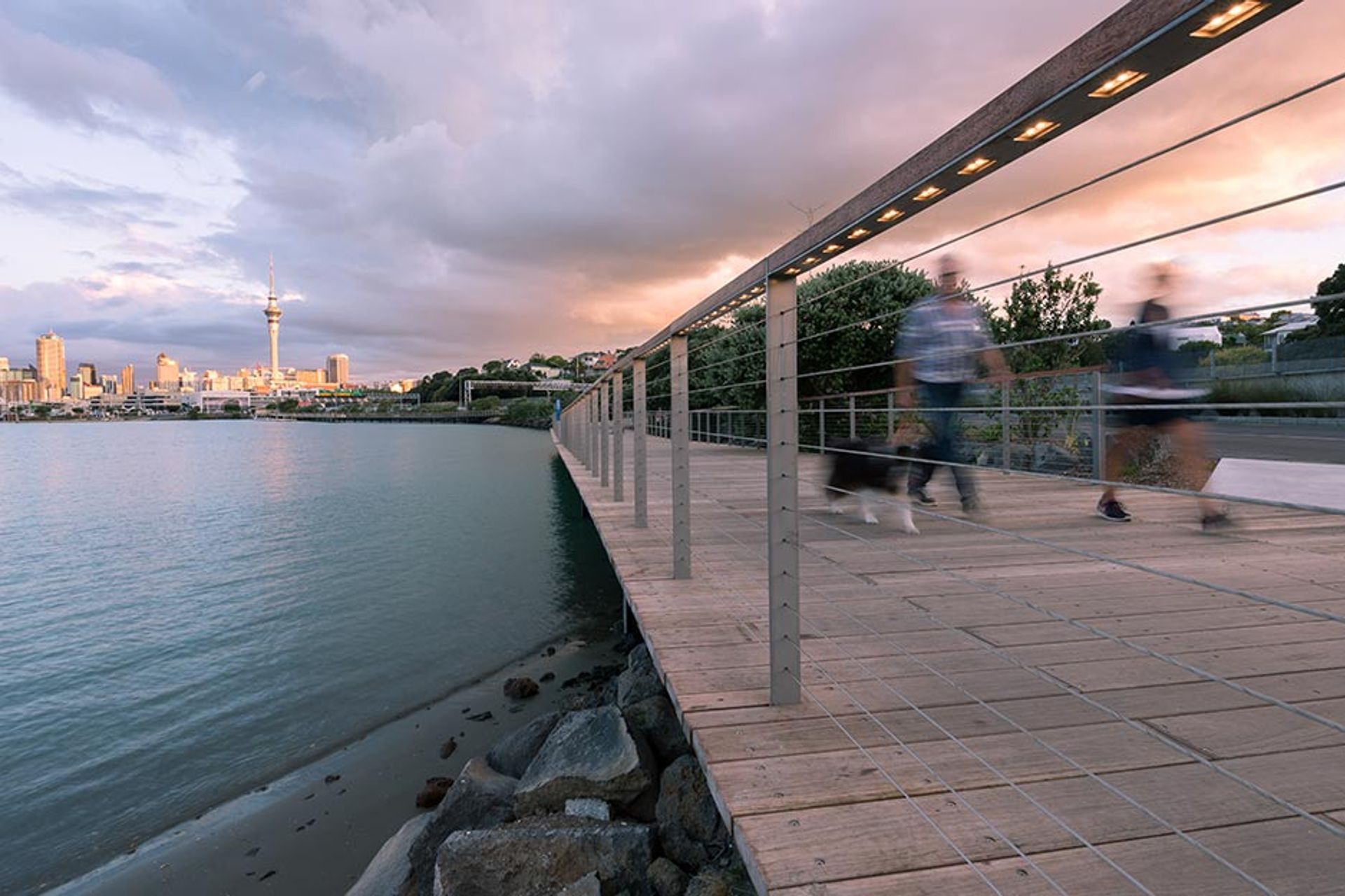 Western Promenade wire balustrade infill