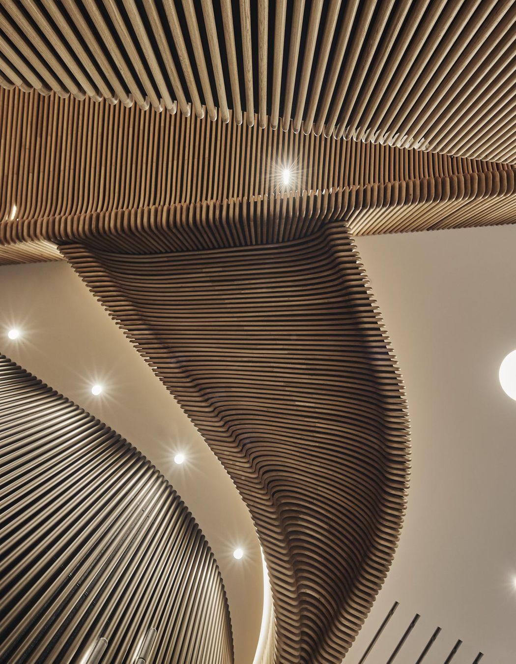 Photography by: Peter Bennetts