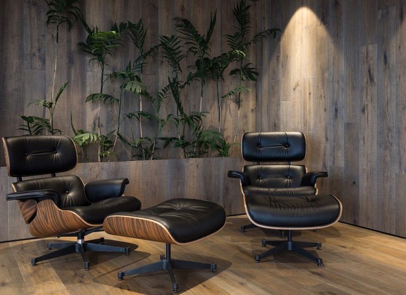 Lexus Showroom, Hamilton