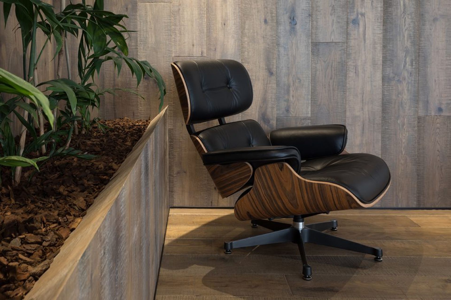 Lexus Showroom, Hamilton