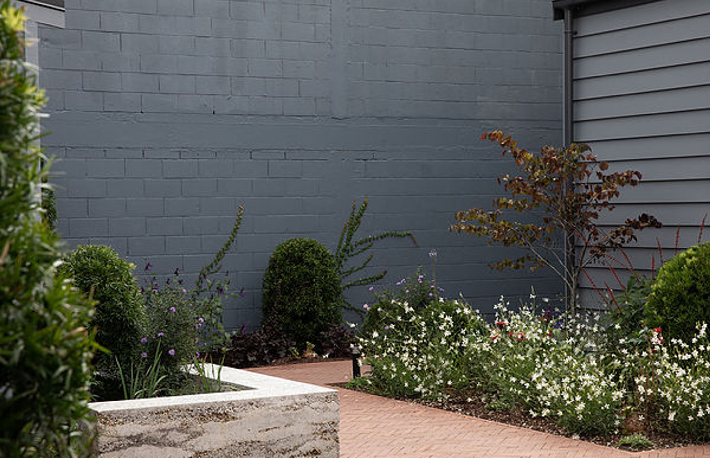 Glassworks, Ponsonby