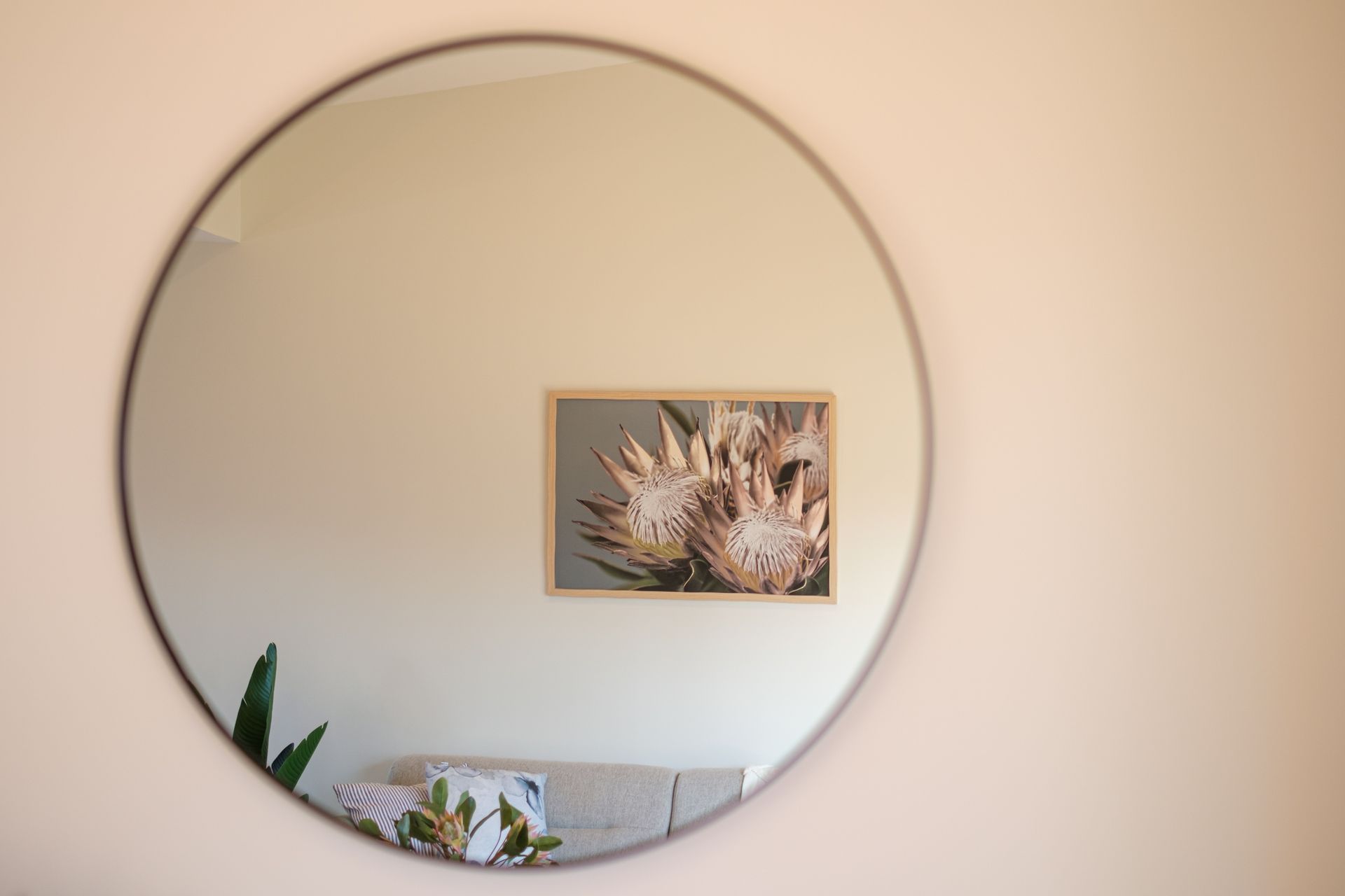 BuildMac Showroom, Hawkes Bay