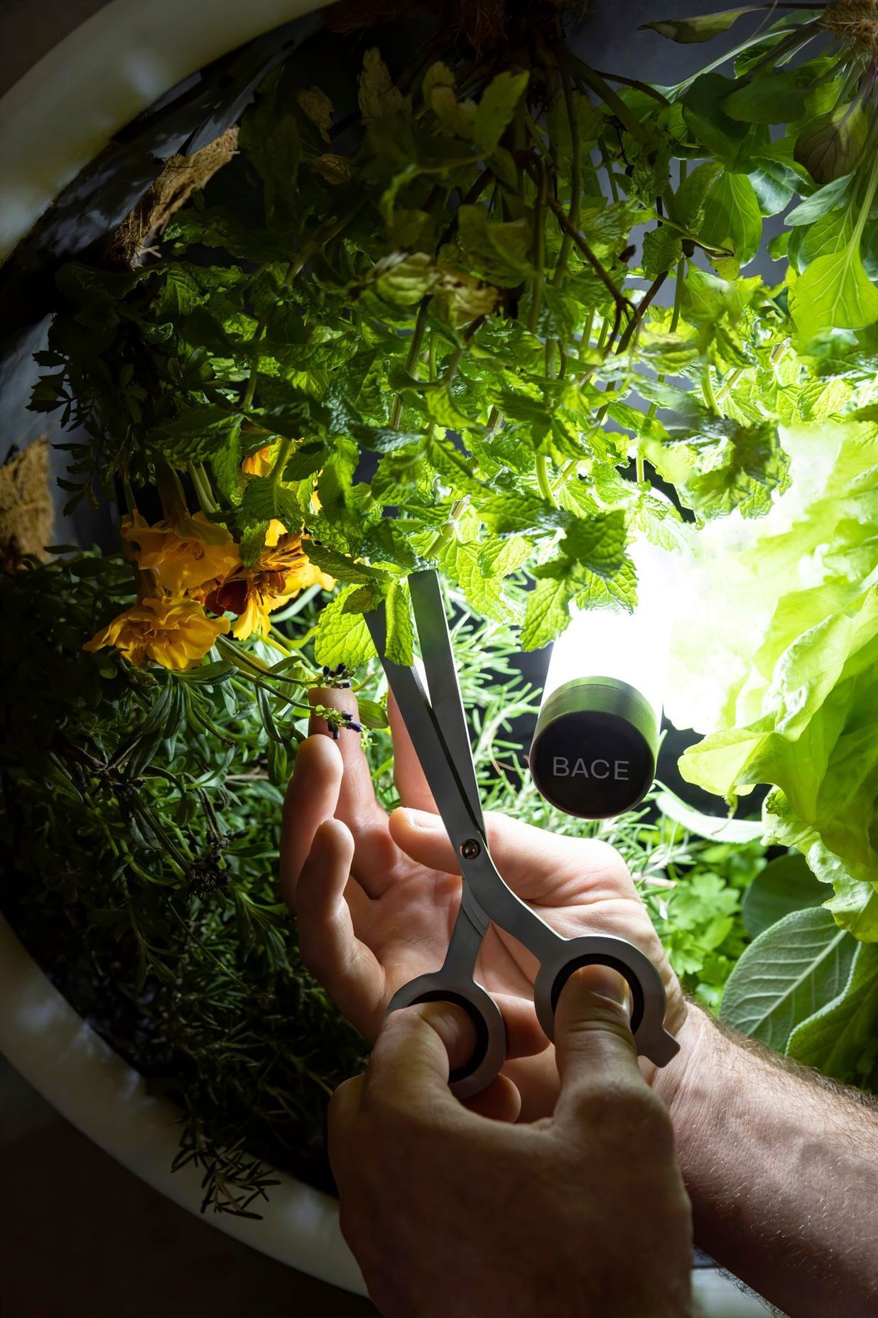 Rotofarm