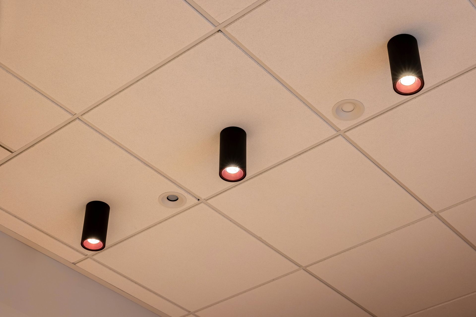 Switch Lighting Christchurch Showroom