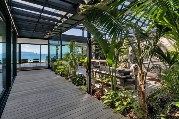 A tropical coastal outdoor living space with a broad timber deck, lush palm planting, and dark-framed glass walls beneath a covered pergola. The deck leads toward a glazed sitting area with expansive ocean views, while a furnished outdoor lounge occupies the planted courtyard edge.