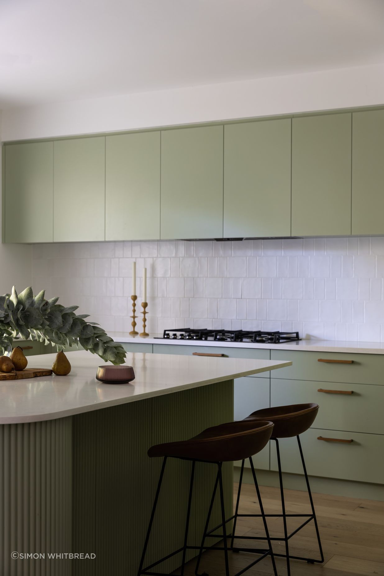 PROGRESSIVEwattle022-1.jpg
