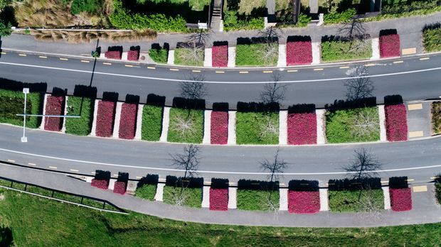 Aerial top-down view of a landscaped streetscape with curving roads, sidewalks, regularly spaced rectangular planting beds, clipped greenery, red groundcover, and young trees. The image focuses on the patterned public landscape and road layout rather than a building.