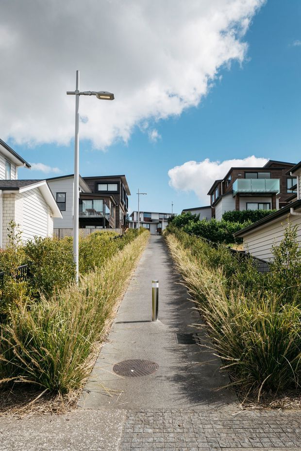 A landscaped pedestrian pathway runs uphill between contemporary residential buildings. The narrow asphalt path includes bollards, stormwater grates, a manhole cover, and modern street lighting, with tall ornamental grasses and hedges lining both sides. Multi-storey homes with light cladding, dark trim, balconies, and large windows frame the walkway under a bright blue sky.