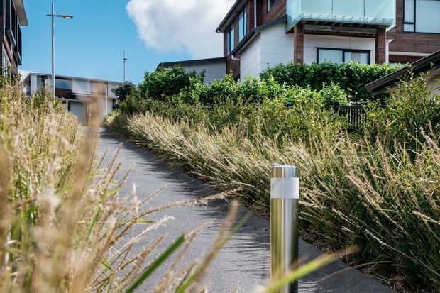 A landscaped pedestrian pathway runs through a contemporary residential development, bordered by tall ornamental grasses and dense planting. Modern multi-storey homes with white rendered walls, dark timber cladding, large windows and glass balcony balustrades line the path. Stainless-steel bollard lighting and simple street lighting reinforce the clean, contemporary streetscape.