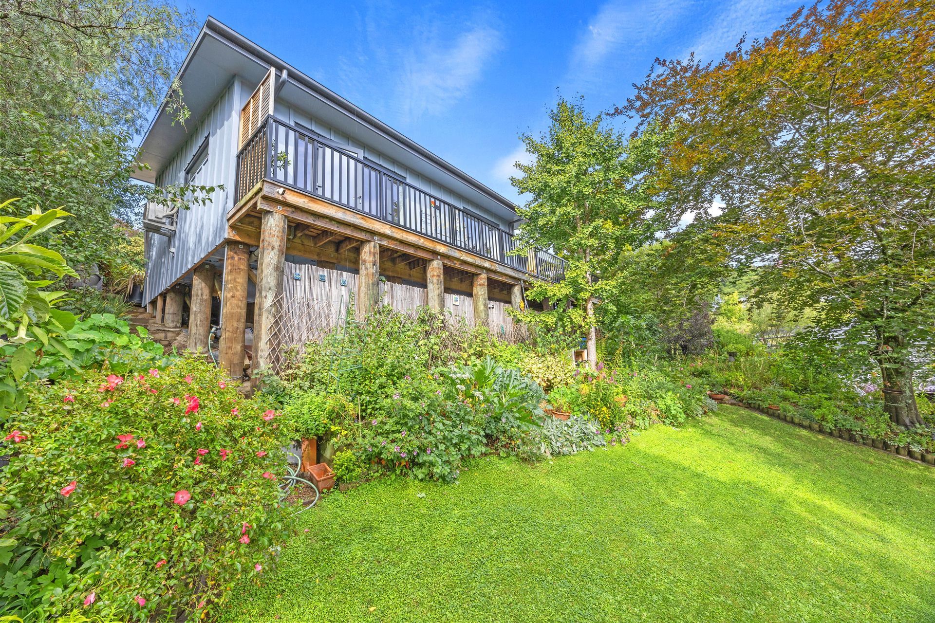 016Open2viewID604778-11ErrolLane.jpg
