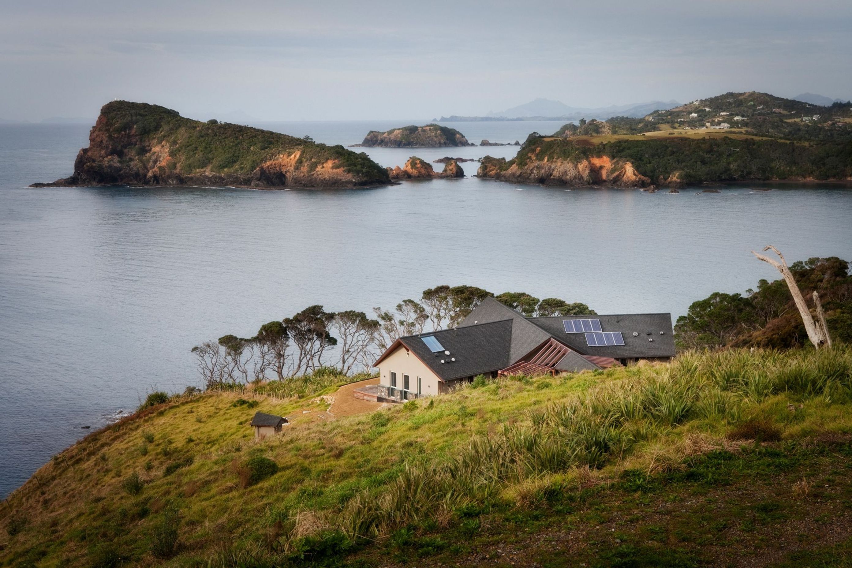 Tutukaka