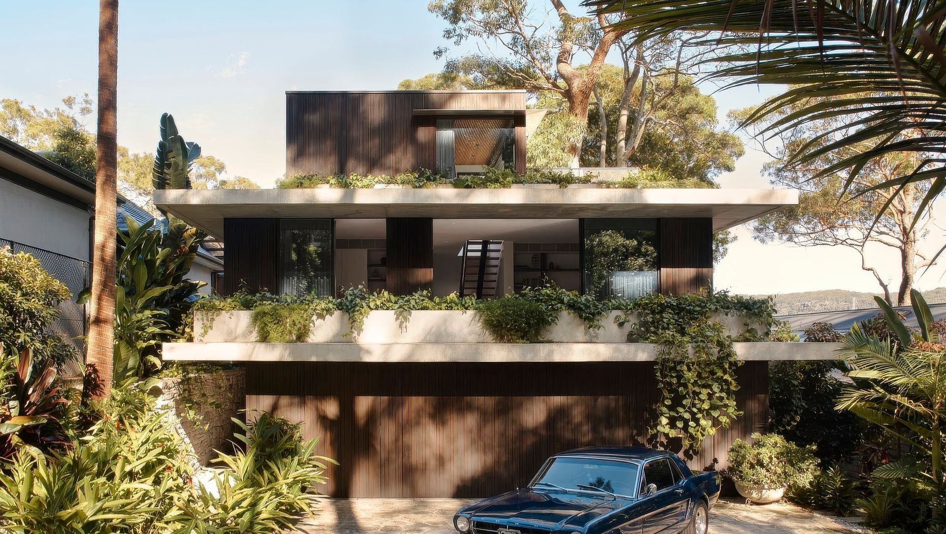 M House banner