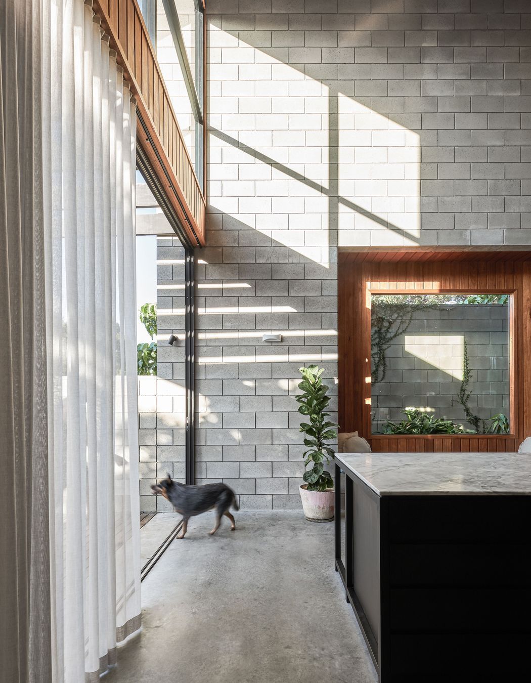 036420-resaltsaddsTinLizzieShaneDenmanArchitectsAndyMacphersonStudio.jpg