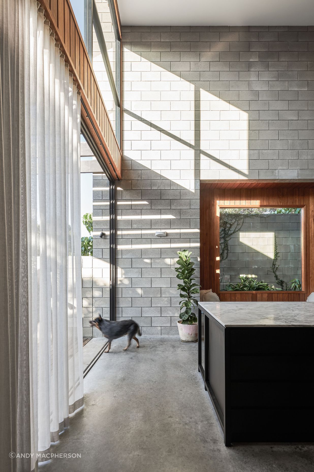 036420-resaltsaddsTinLizzieShaneDenmanArchitectsAndyMacphersonStudio.jpg