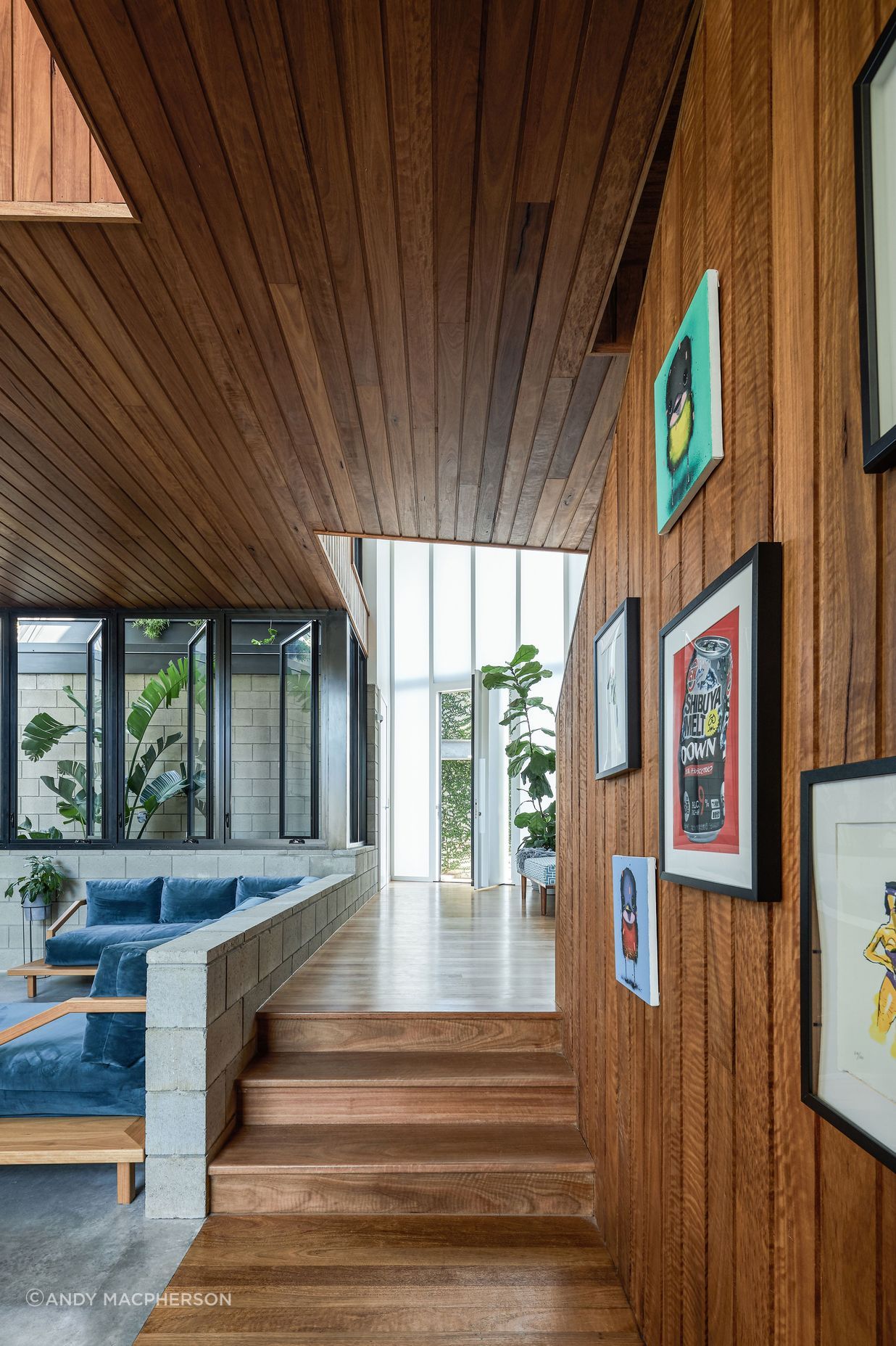 056420-resaltsaddsTinLizzieShaneDenmanArchitectsAndyMacphersonStudio.jpg