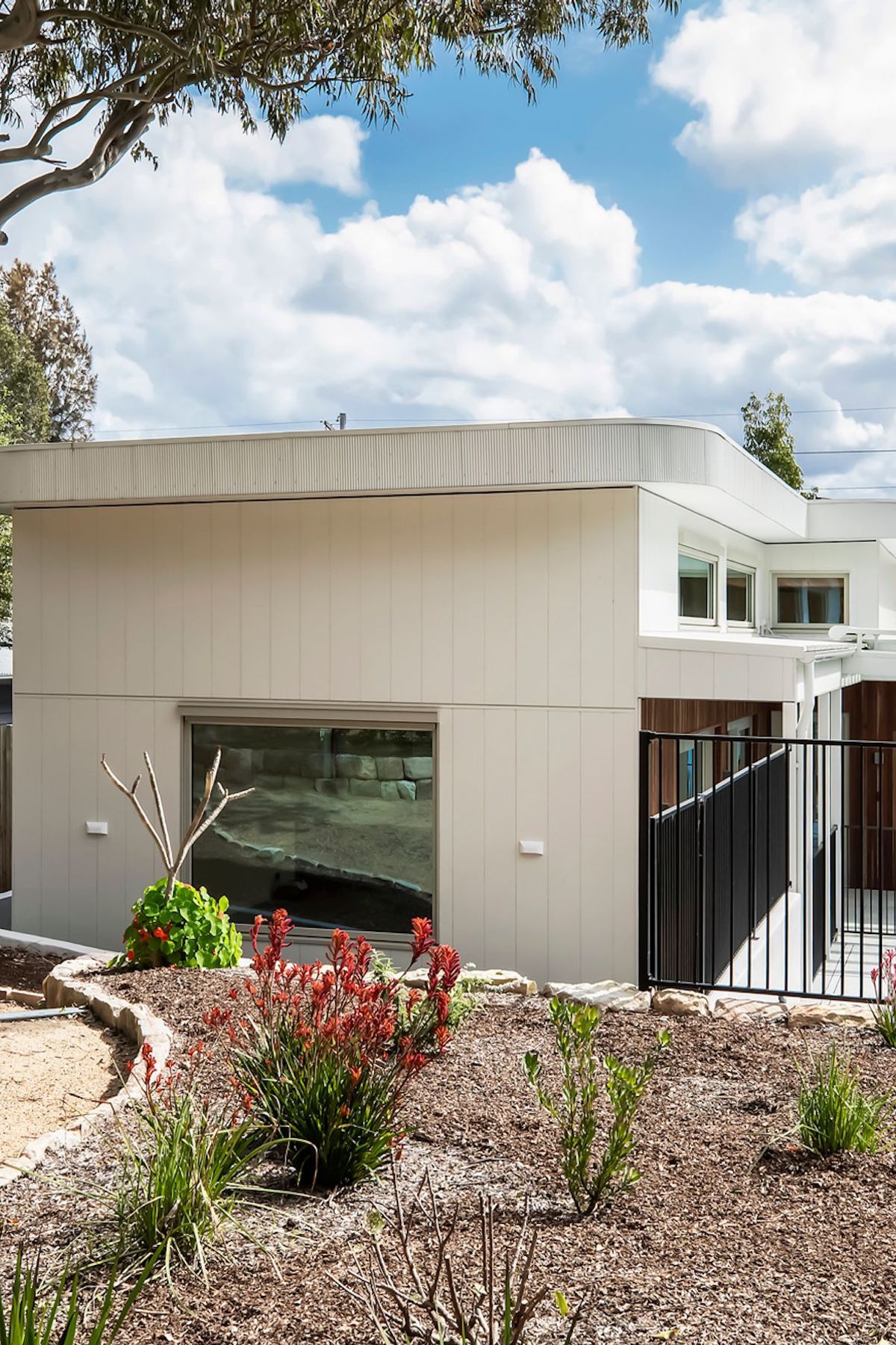 06-portrait-envirotecture-curvaceous-passivhaus-nsw-garden.jpg
