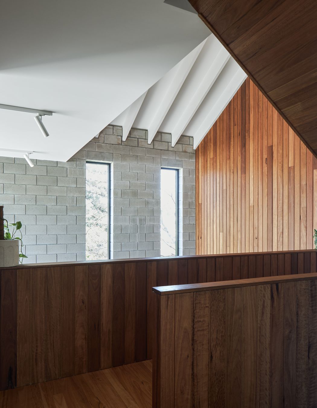 066420-resaltsaddsTinLizzieShaneDenmanArchitectsAndyMacphersonStudio.jpg