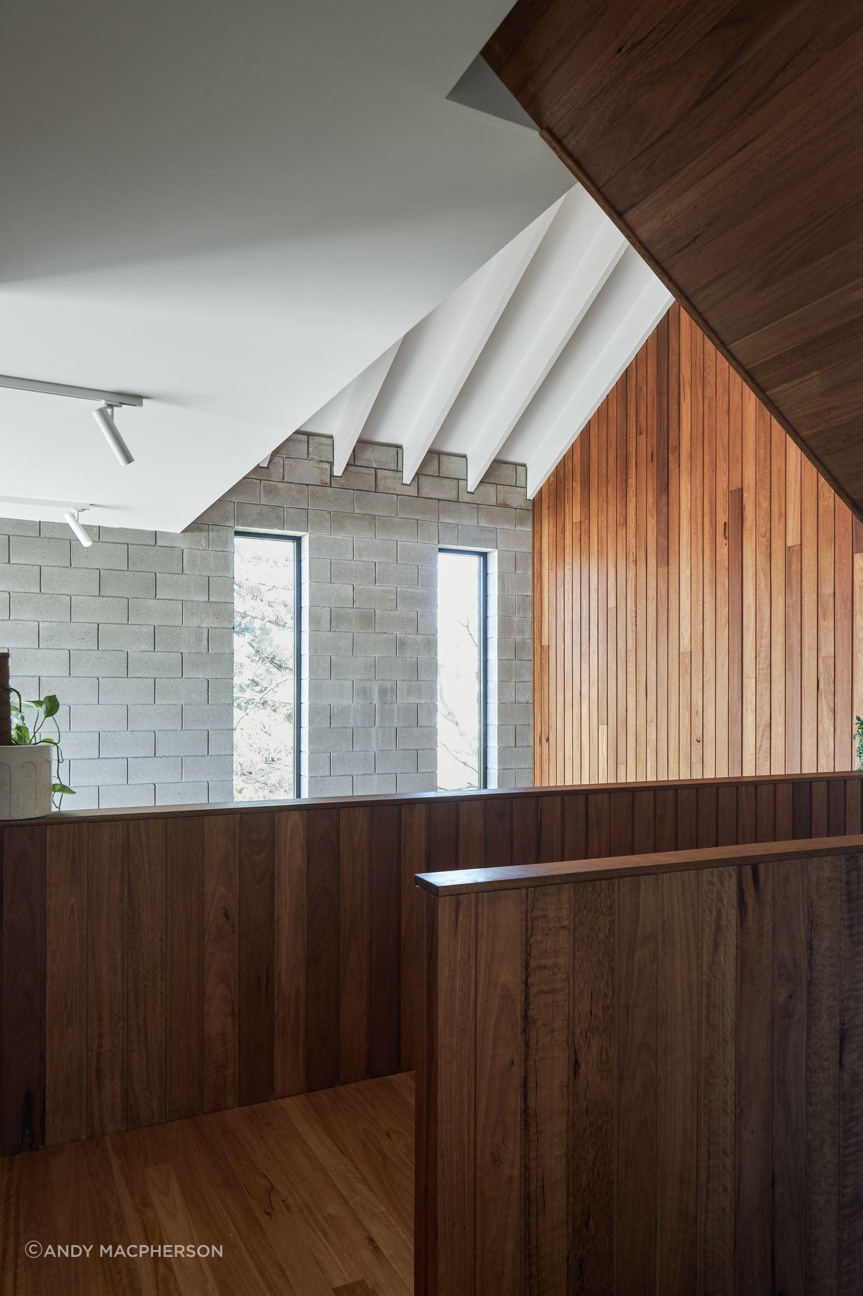 066420-resaltsaddsTinLizzieShaneDenmanArchitectsAndyMacphersonStudio.jpg