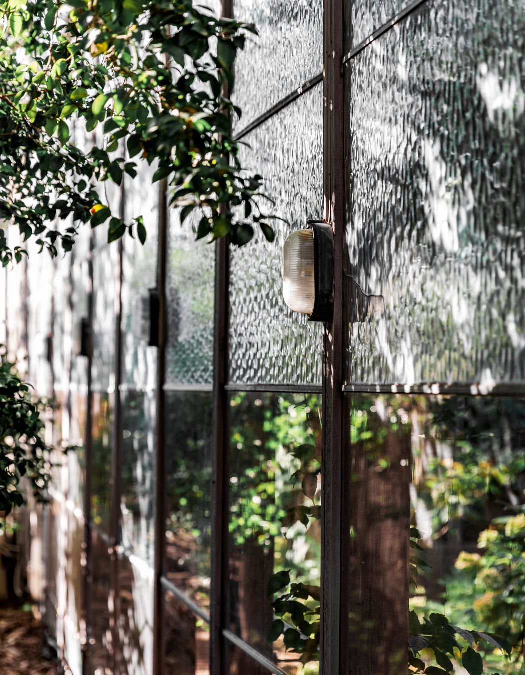 Robin Boyd 'Walsh Street House'