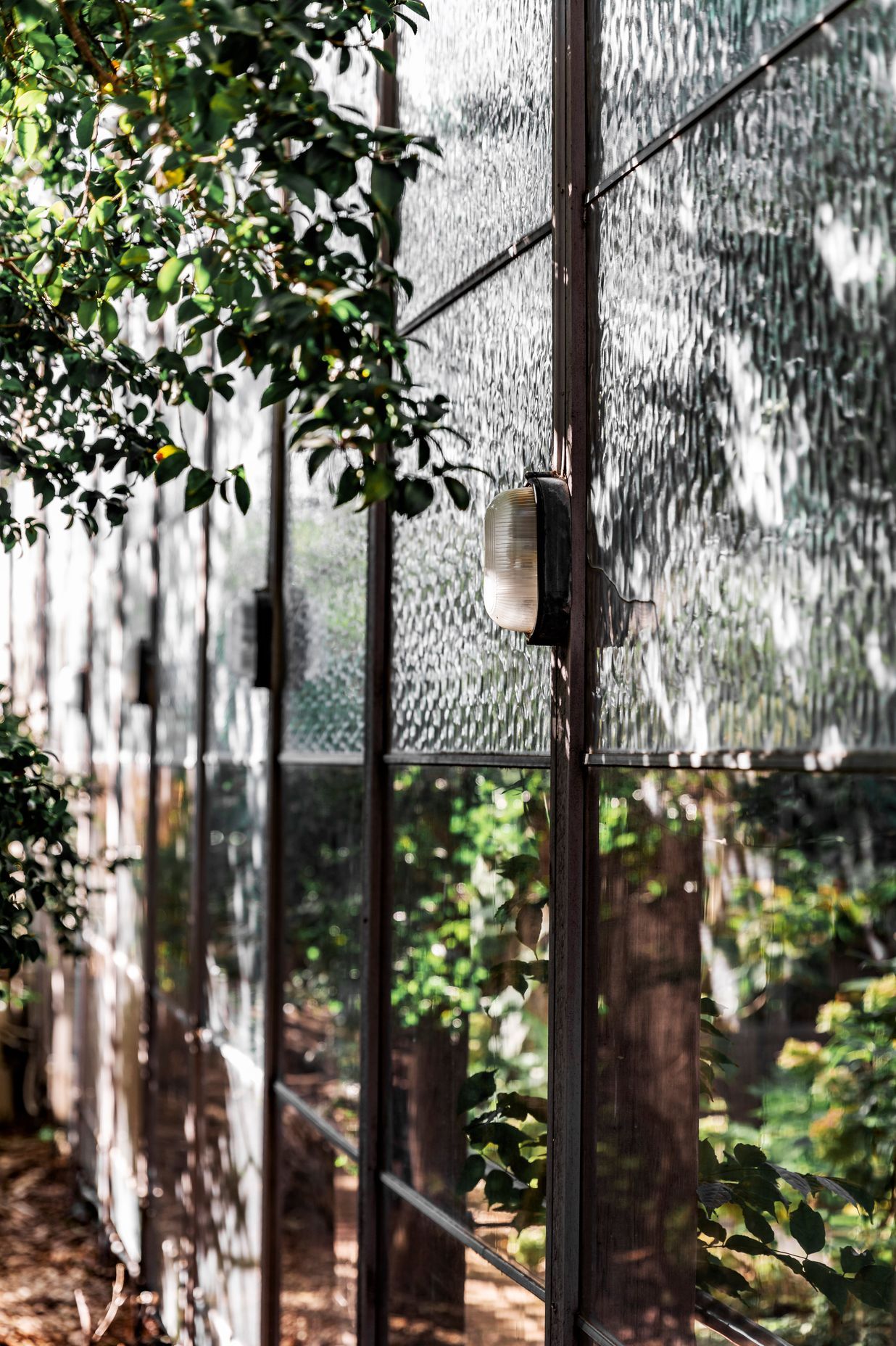 Robin Boyd 'Walsh Street House'
