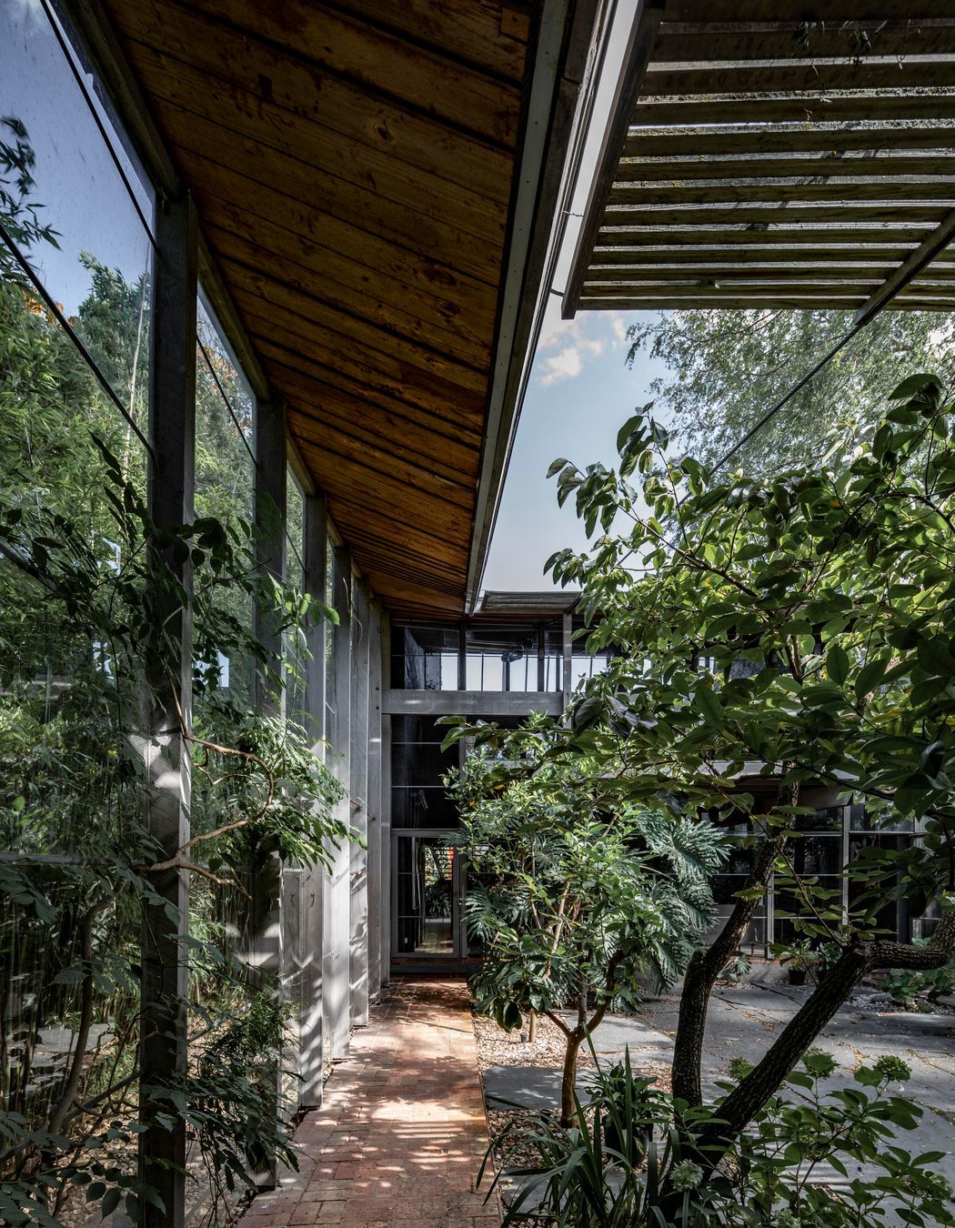 Robin Boyd 'Walsh Street House'