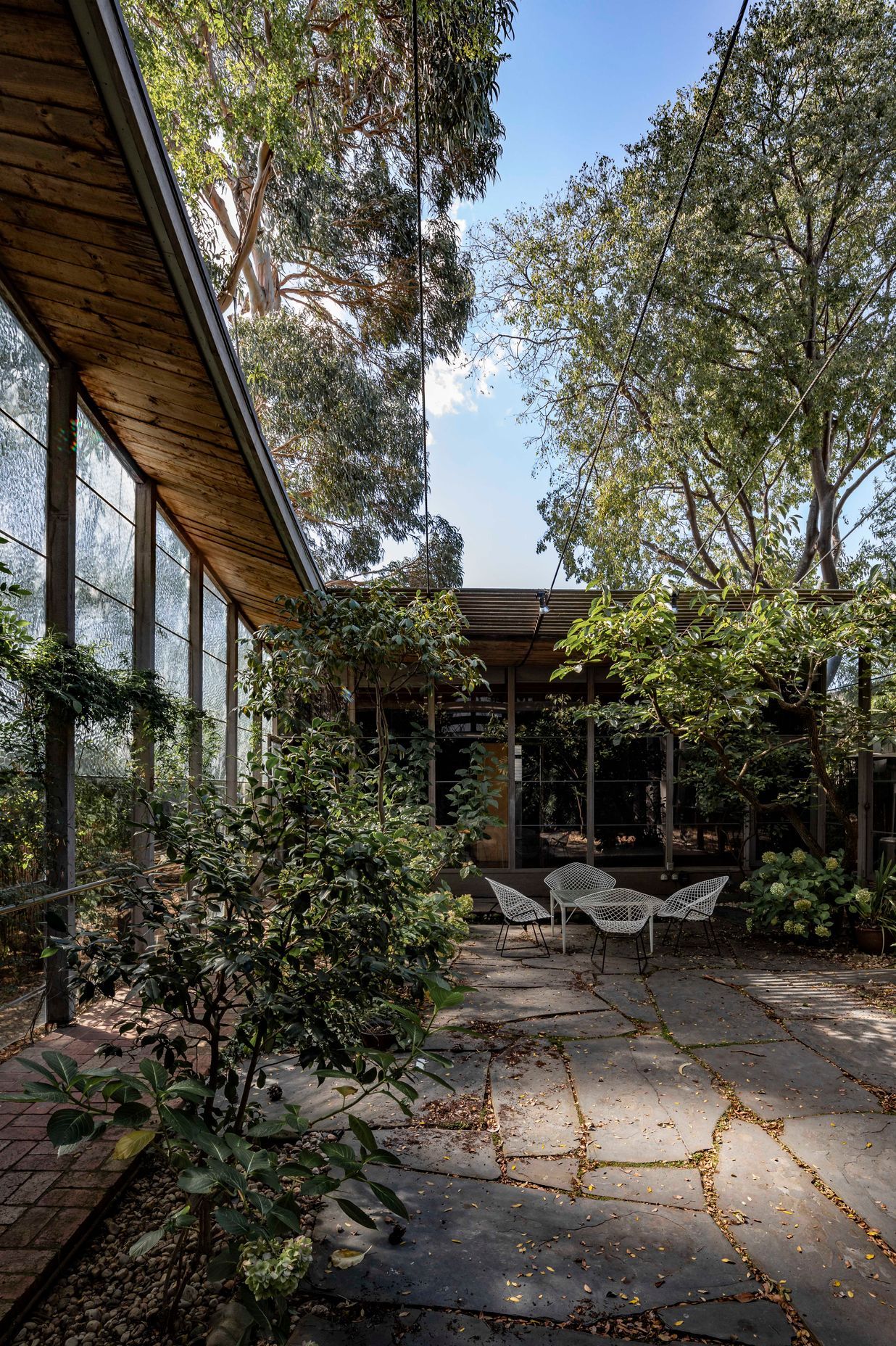 Robin Boyd 'Walsh Street House'