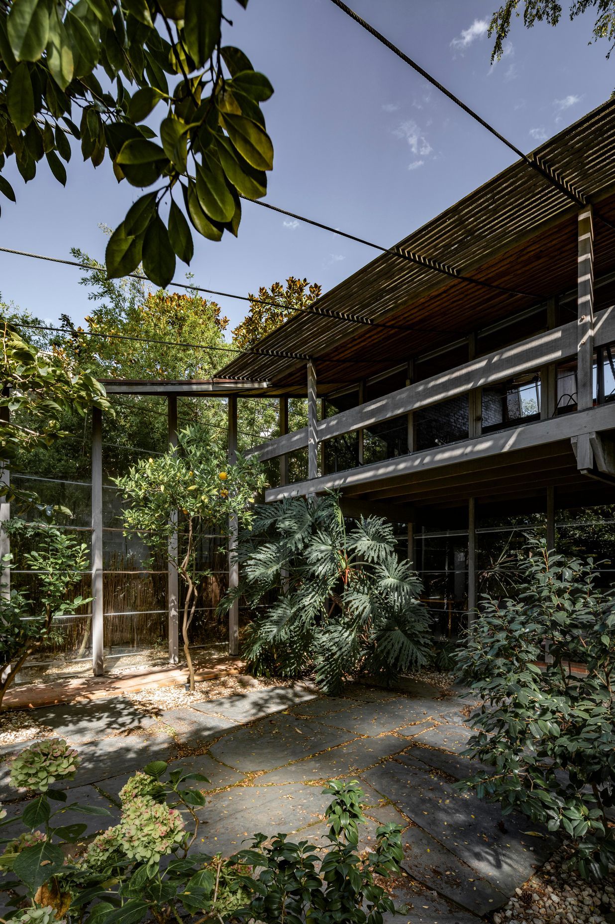 Robin Boyd 'Walsh Street House'