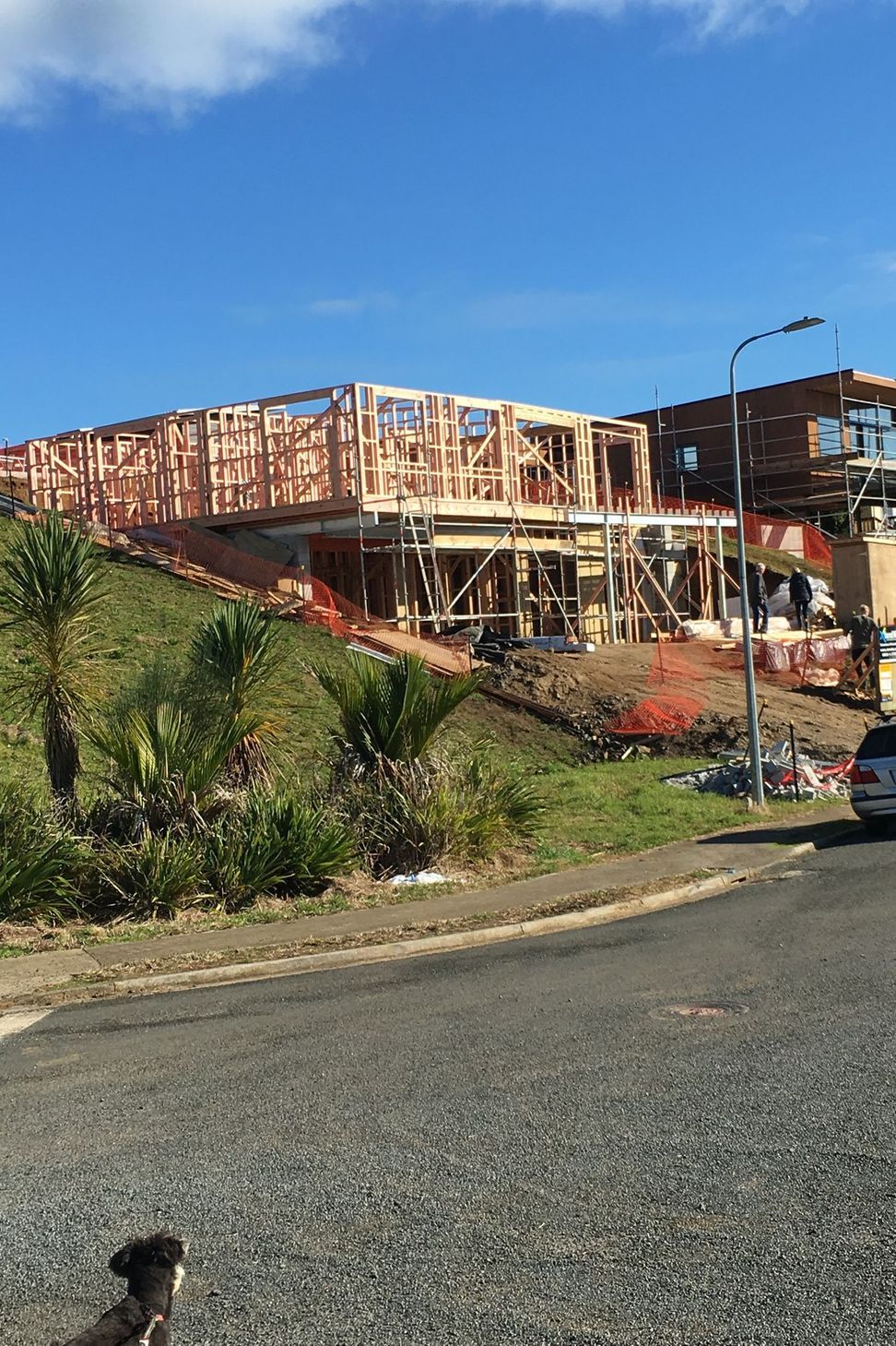 Nikau Park Renovation