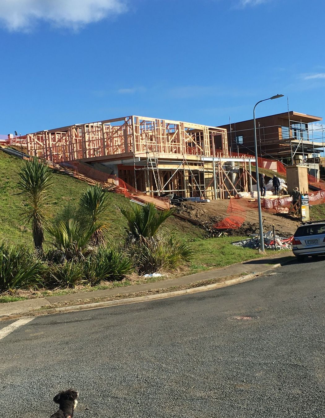 Nikau Park Renovation