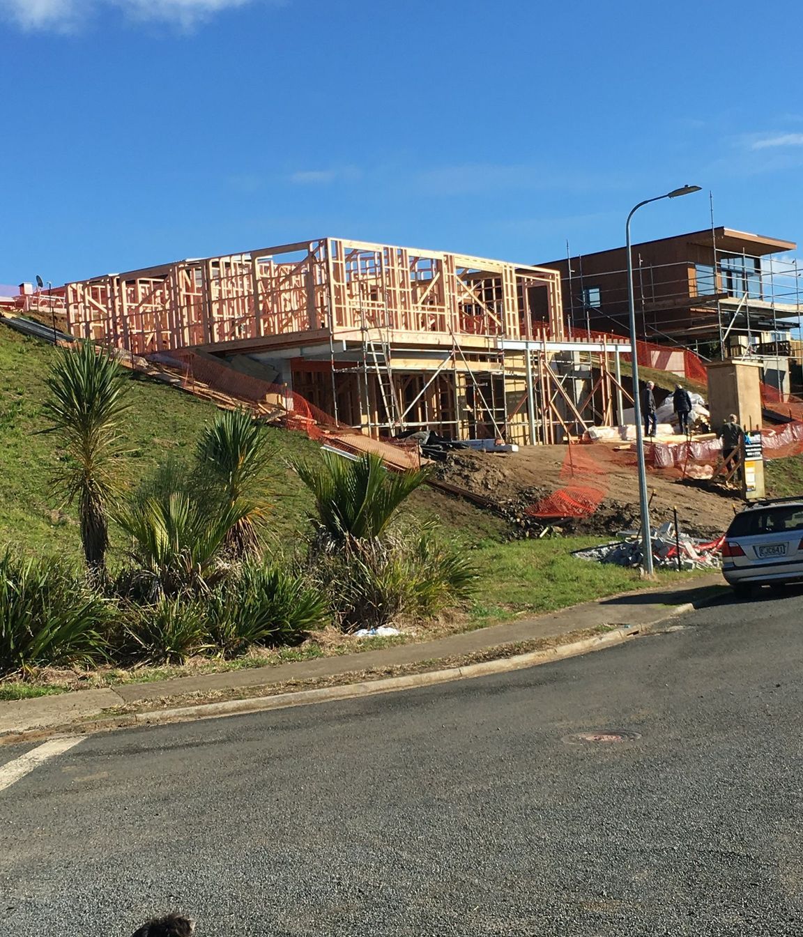 Nikau Park Renovation