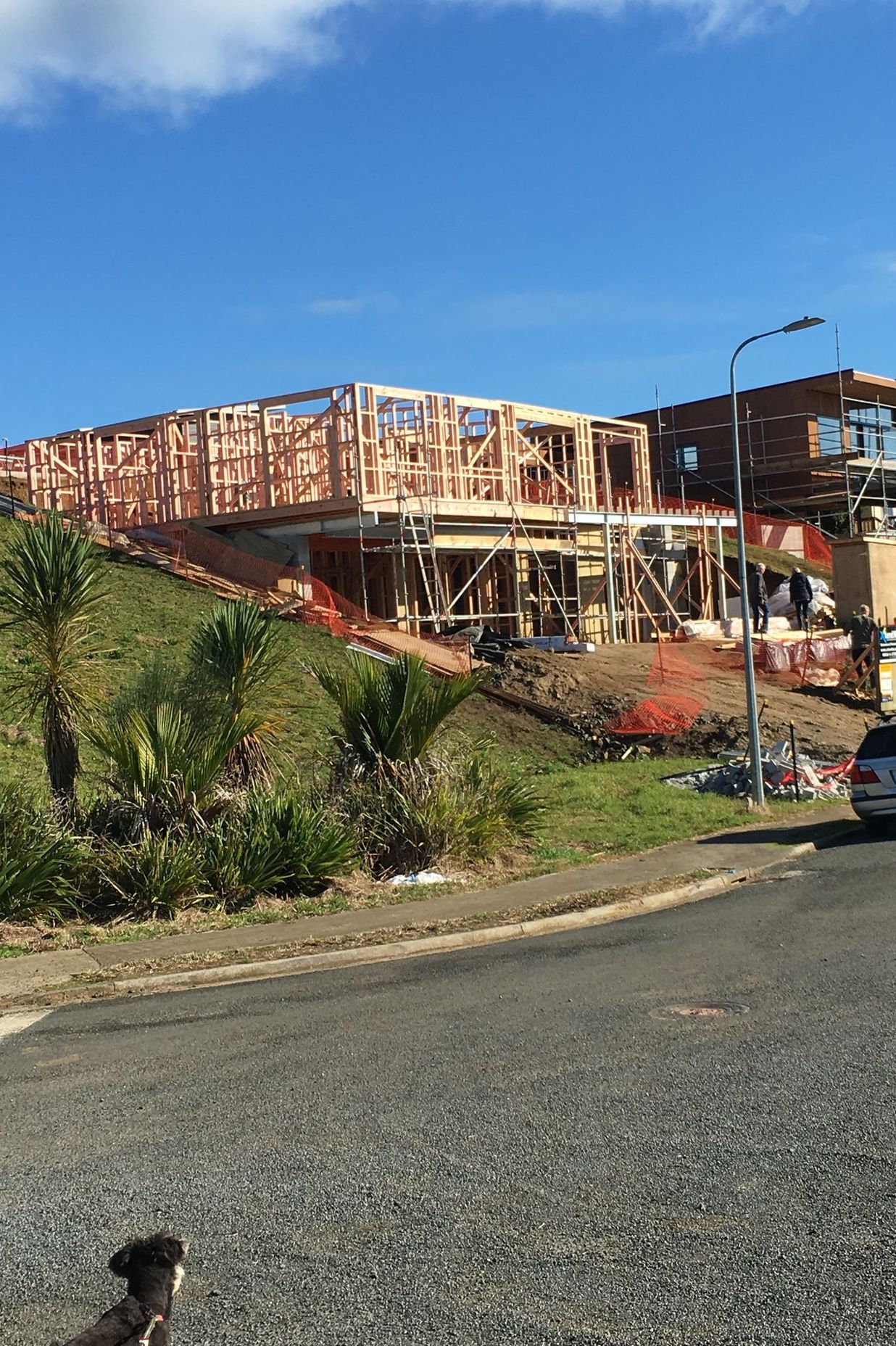 Nikau Park Renovation