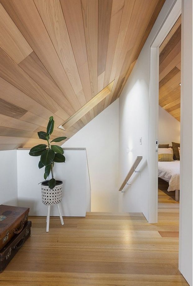 A bright residential interior hallway or landing with extensive light timber lining across the sloped ceiling and floor. White walls and a white stair balustrade create a clean, minimalist composition. A potted rubber plant and a small vintage-style trunk sit in the foreground, while an open doorway reveals part of a bedroom with timber flooring and a bed. A simple handrail leads down the stairway.
