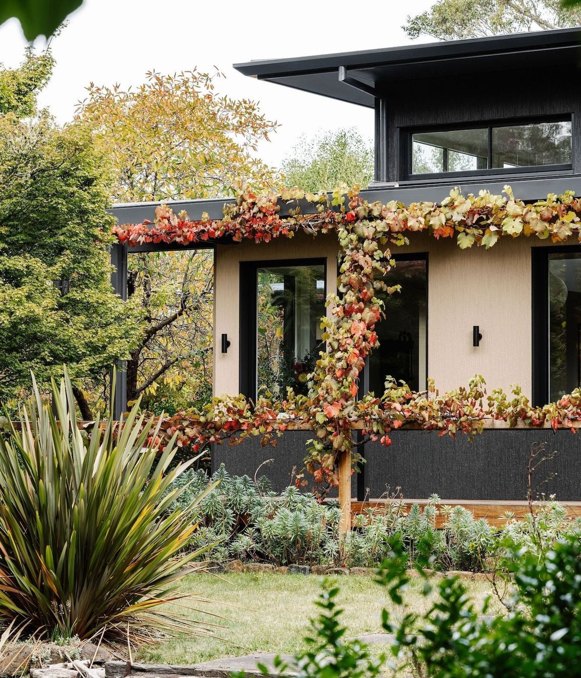 10-envirotecture-thegardenhaus-newhome-victoria-external.jpg