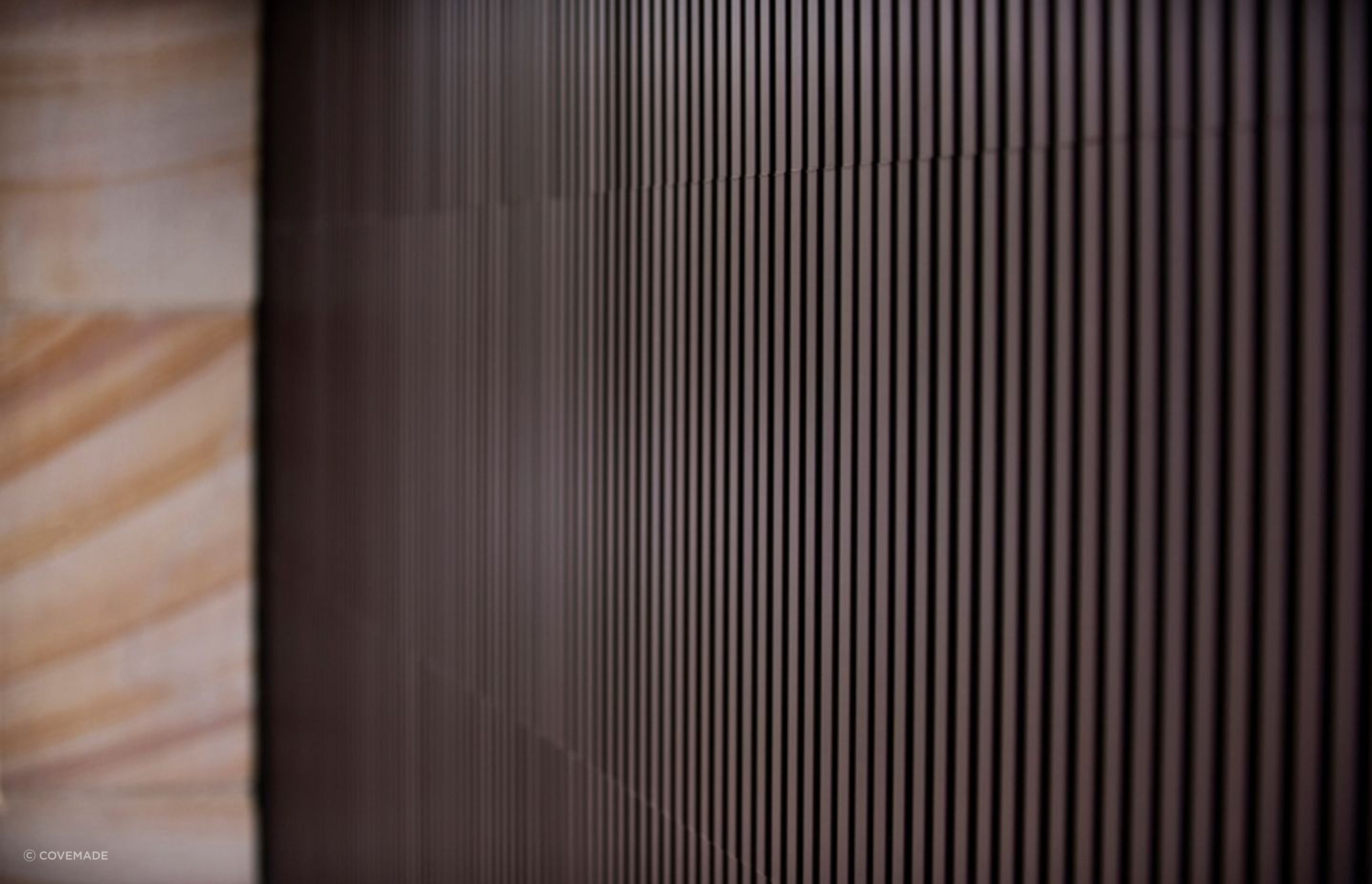 1036DCI1018.jpg