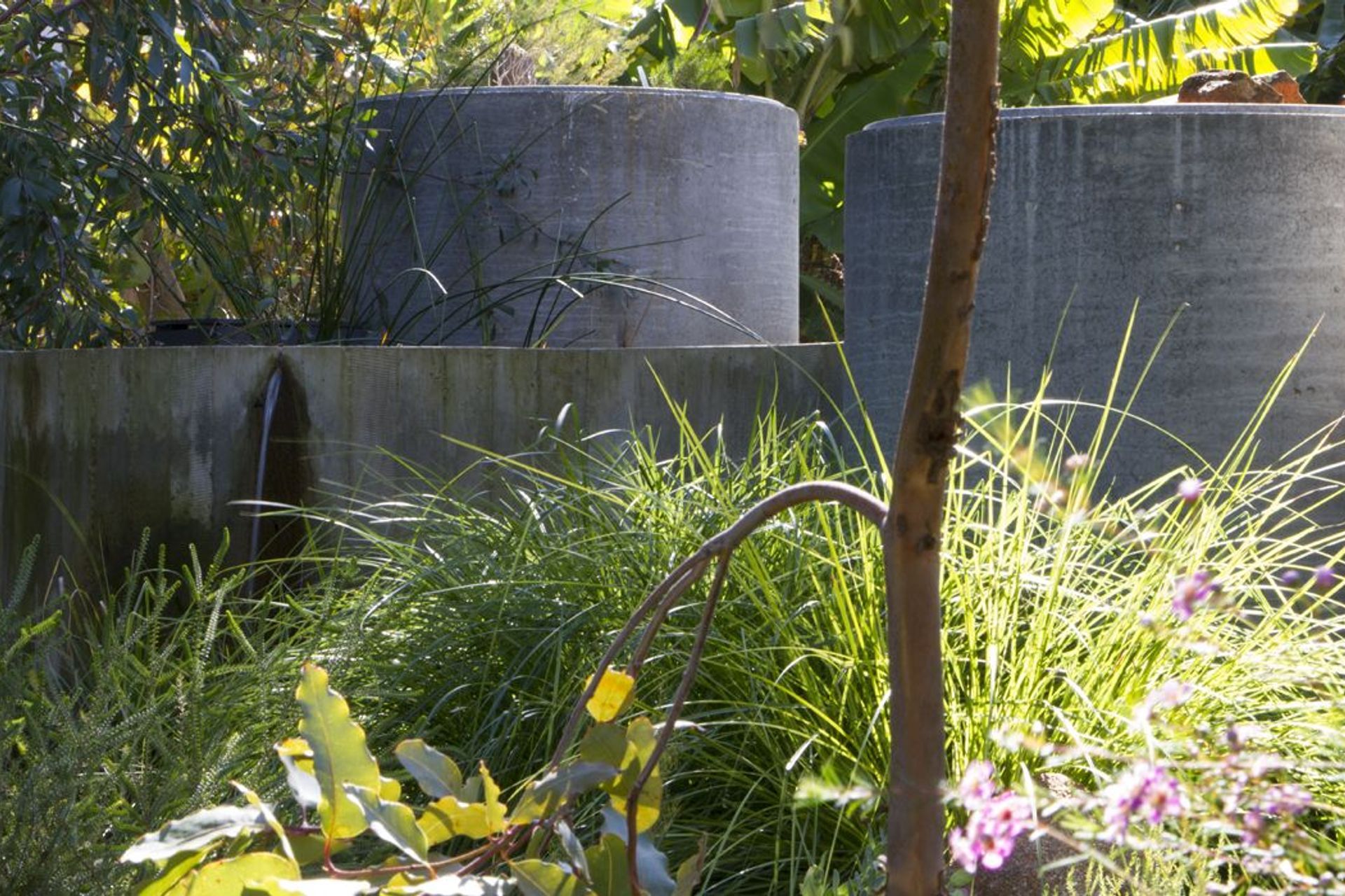 ##&amp;&amp;Celilo Springs