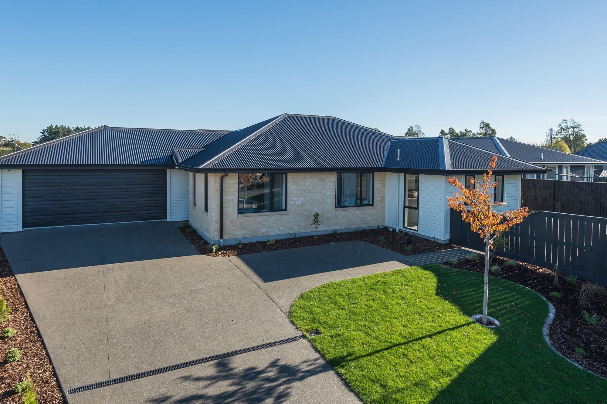 Our Recent Projects