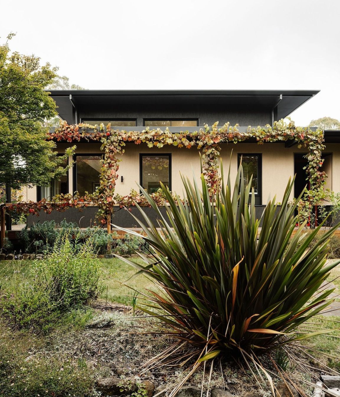 14-envirotecture-thegardenhaus-newhome-victoria-external.jpg