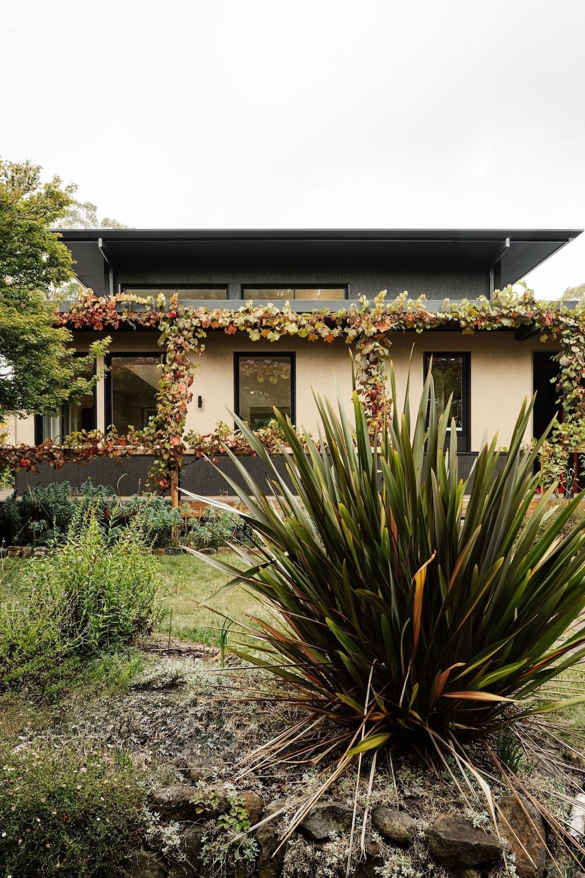 14-envirotecture-thegardenhaus-newhome-victoria-external.jpg