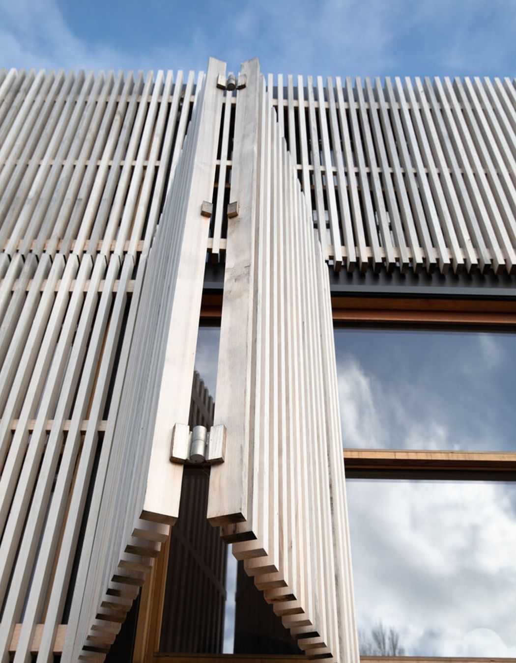 Ngapuhi Road, Remuera