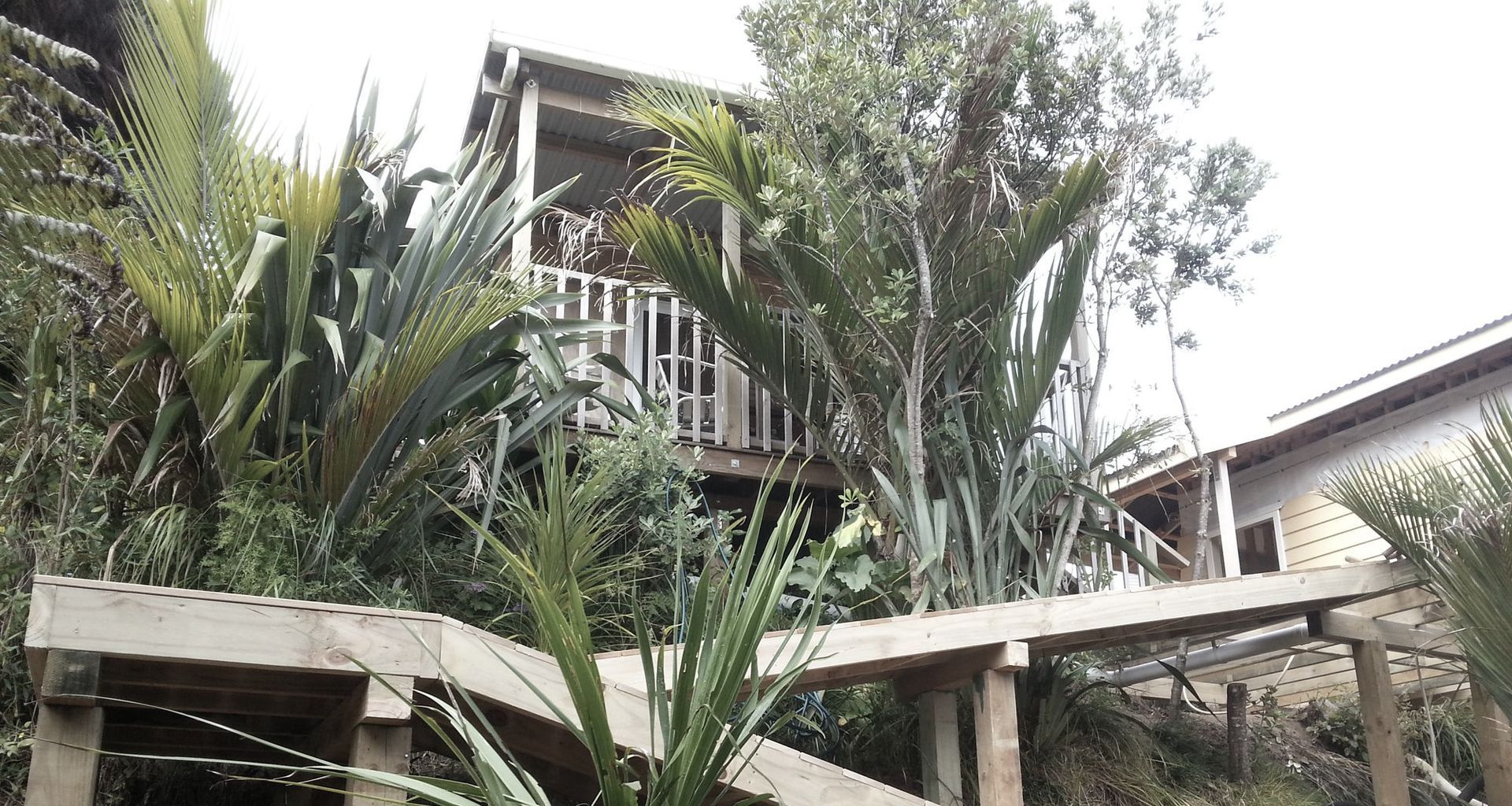 Muriwai New Build banner