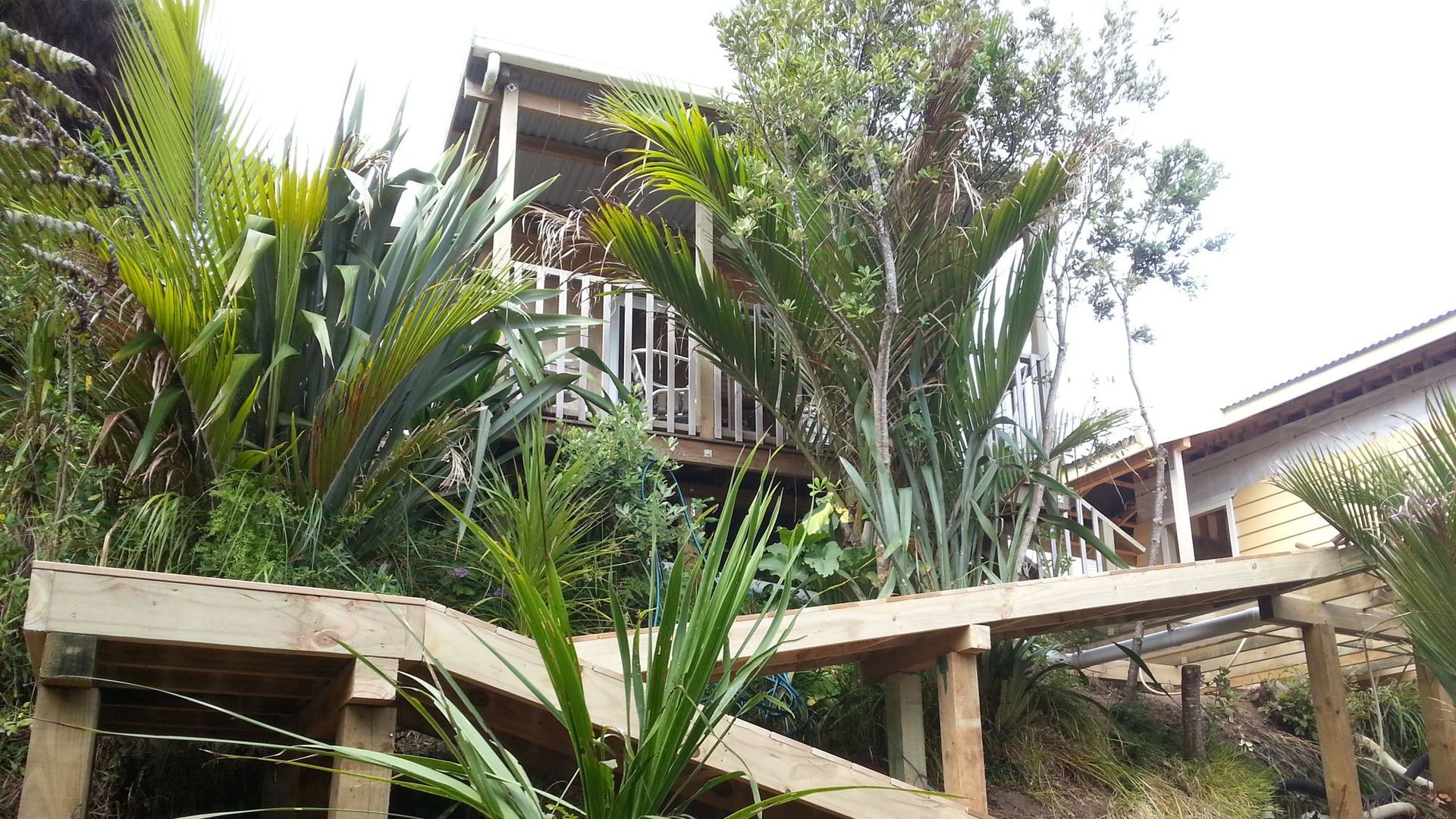 Muriwai New Build banner