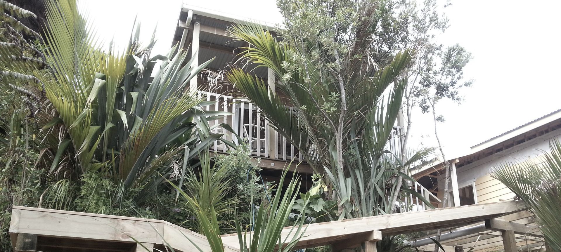 Muriwai New Build banner