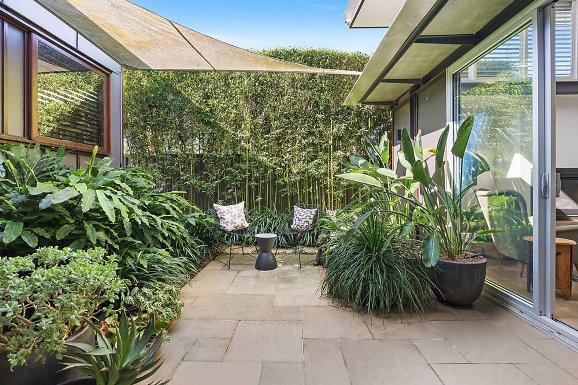 Gelding Street, Dulwich Hill