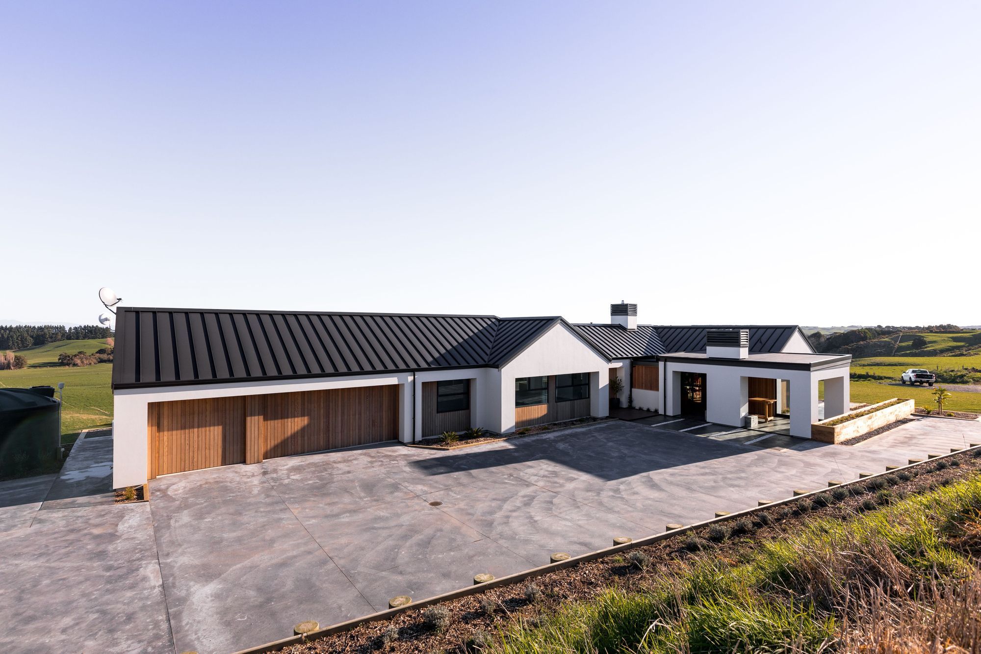 Macrocarpa Masterpiece