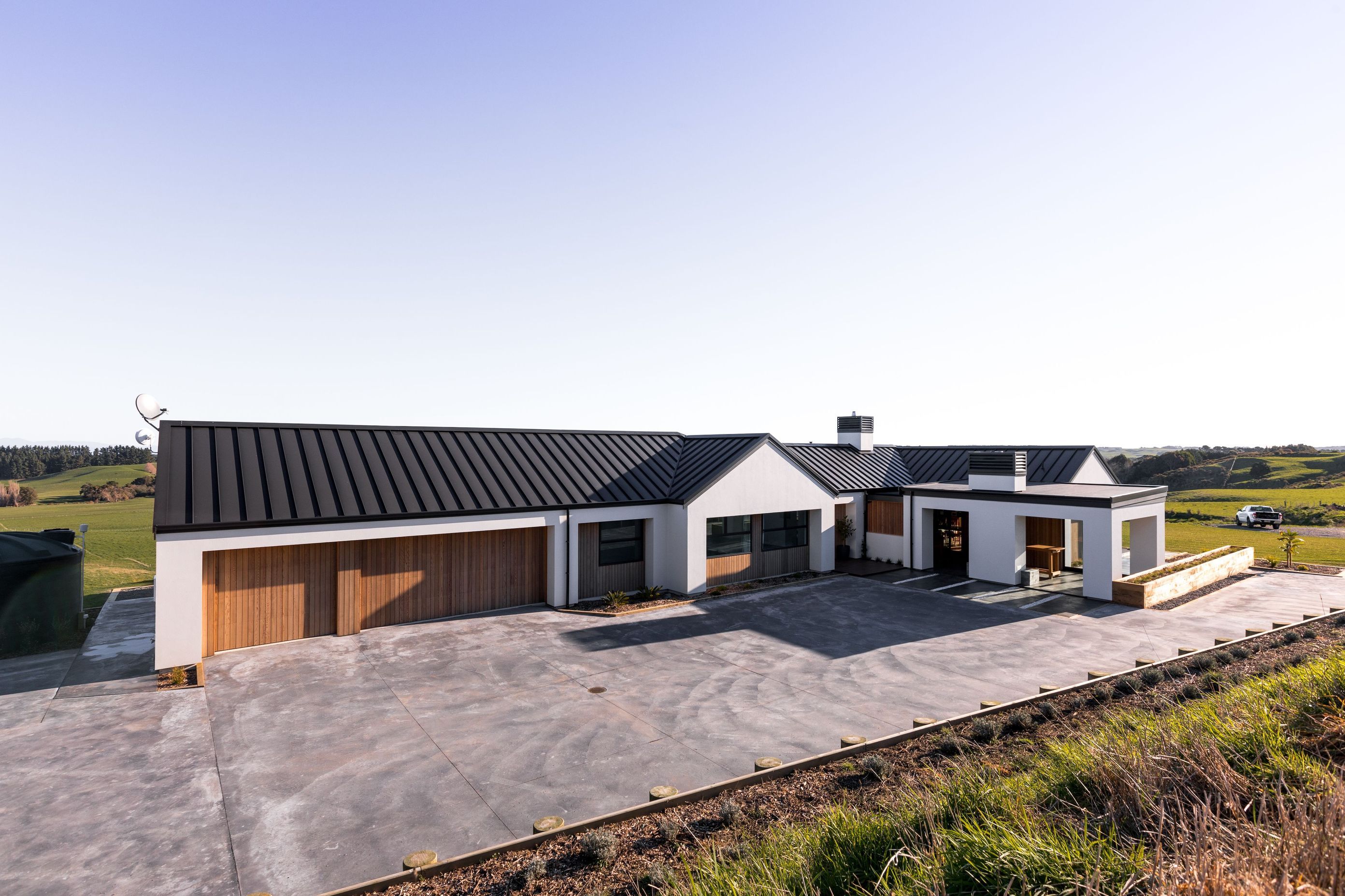 Macrocarpa Masterpiece